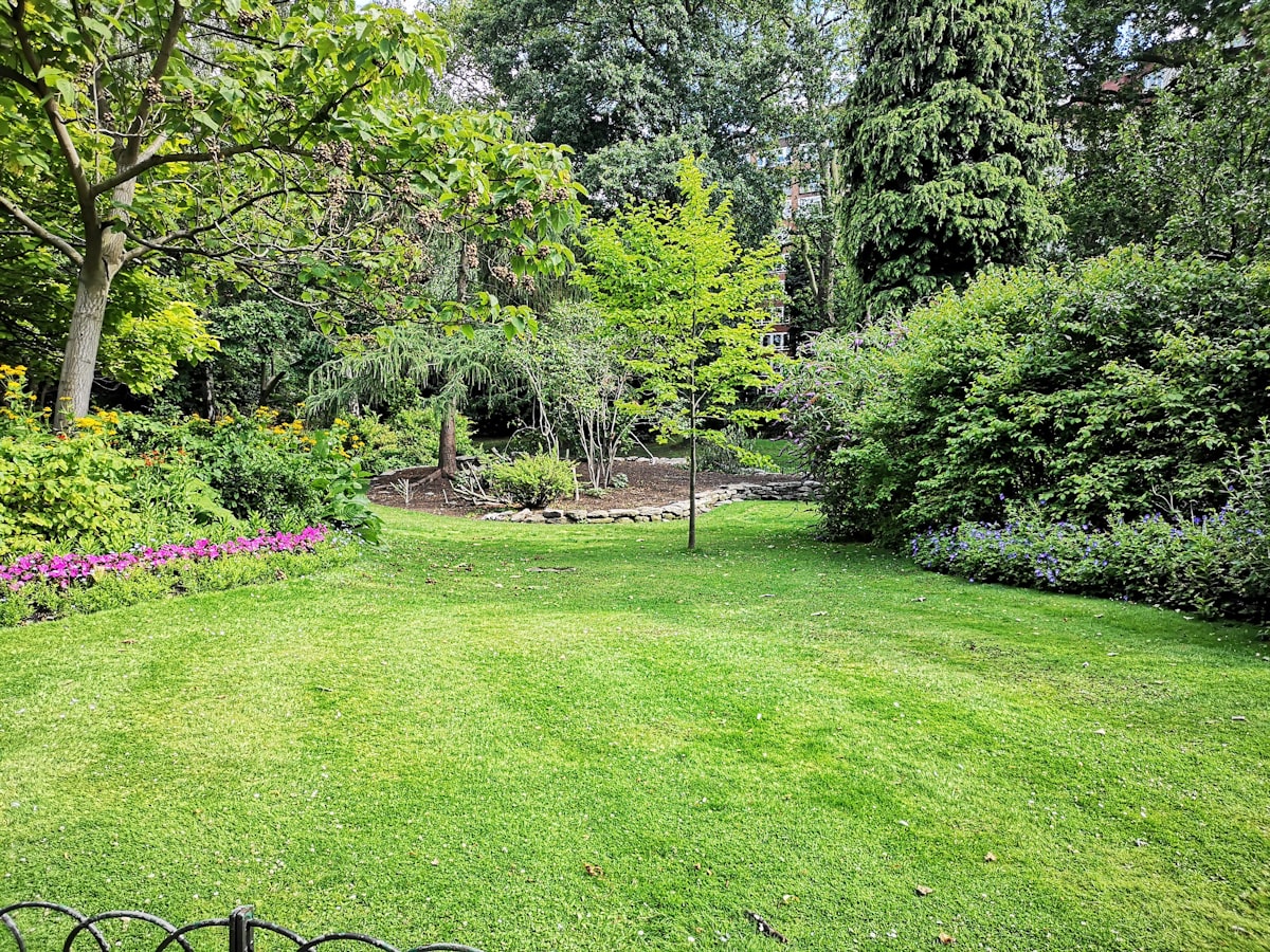 Landscaped yard with trees